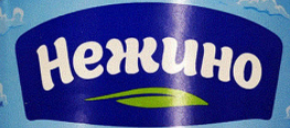 Нежино