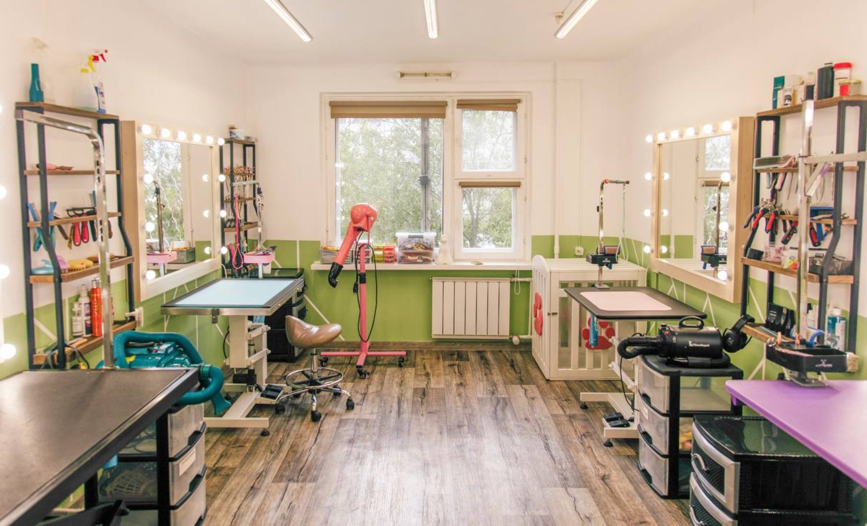 Valery Groom: о любви к животным, груминге и красоте без стресса