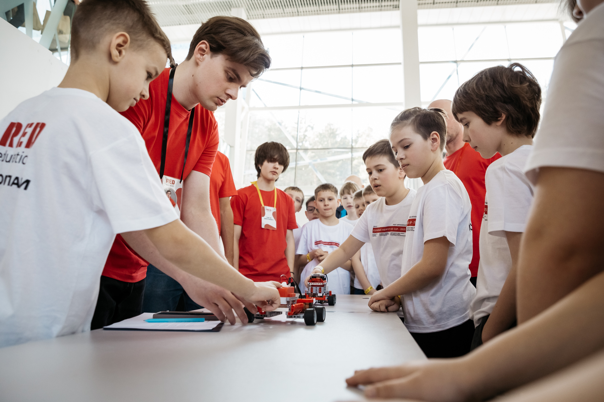 Топ-5 востребованных IT-профессий для детей и подростков с курсами RED education