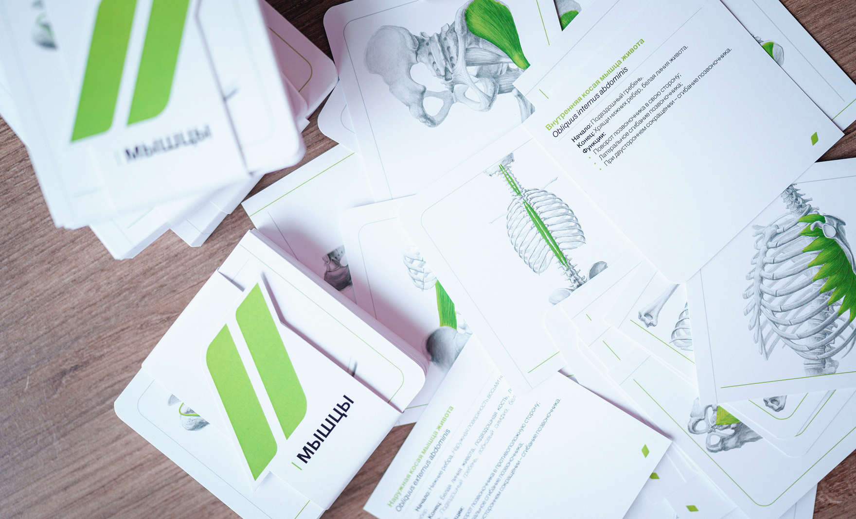 Как стать востребованным фитнес-инструктором в 2026 году: тренды, навыки и обучение