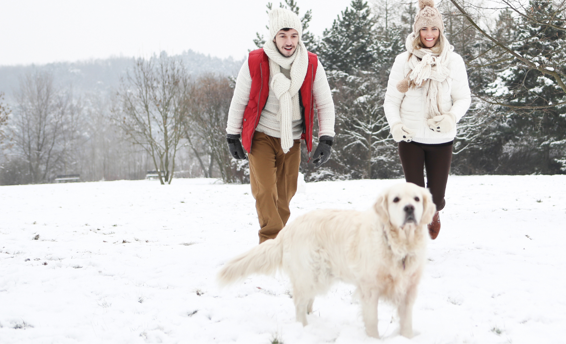 Тяжесть в животе после еды: как избежать переедания на Новый год