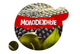 Молодежные