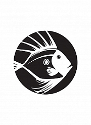 johndory.by