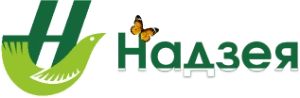 Надзея