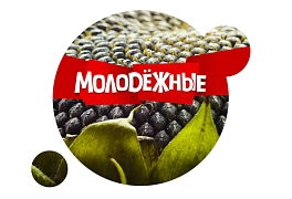 Молодежные