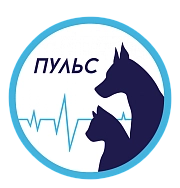 Пульс