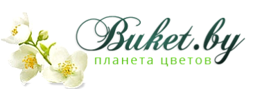 buket.by