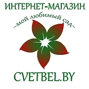 cvetbel.by