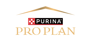 Pro Plan