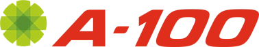 А100